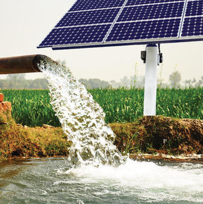 Agricultura accionada solar segura de Kit Solar Water Pumps For de la irrigación por goteo del IEC